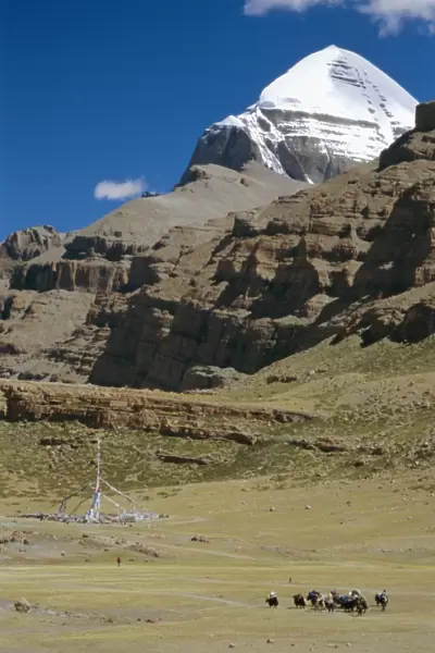 Yak train approaches Tarboche, prayer flag pole in Lha Chu canyon, on the kora round sacred mountain, Mount Kailas (Kailash), Tibet
