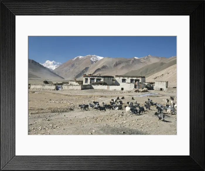 Framed Print : Village in Ra valley above Tingri, Cho Oyu and Himalayas in distance, Tibetan Plateau Framed Print : Village in Ra valley above Tingri, Cho Oyu and Himalayas in distance, Tibetan Plateau