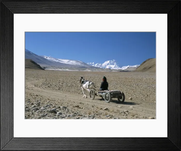 Framed Print : Farmer going home near Tingri, Cho Oyu and Himalayas in distance, Tibetan Plateau Framed Print : Farmer going home near Tingri, Cho Oyu and Himalayas in distance, Tibetan Plateau