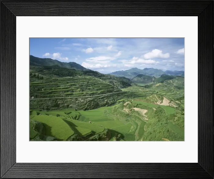 Framed Print : Terraced agricultural land between Taijiang and Fanpai, Guizhou Province, China, Asia