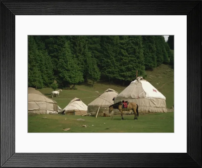 Framed Print : Yurts and horses near Lake Tianche in Xinjiang Province, China, Asia Framed Print : Yurts and horses near Lake Tianche in Xinjiang Province, China, Asia