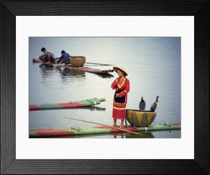 Framed Print : Woman in traditional dress on a raft with cormorants on the Lijiang (River Li) in Guanxi Province Framed Print : Woman in traditional dress on a raft with cormorants on the Lijiang (River Li) in Guanxi Province