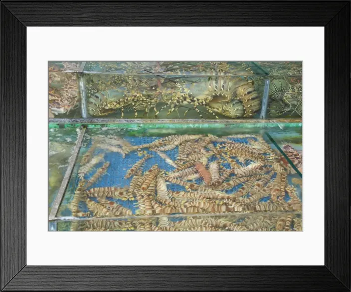 Framed Print : Fish restaurant, Sai Kung, New Territories, Hong Kong, China, Asia Framed Print : Fish restaurant, Sai Kung, New Territories, Hong Kong, China, Asia