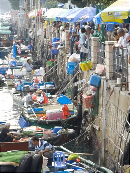 Fishing boats, Sai Kung, New Territories, Hong Kong, China, Asia
