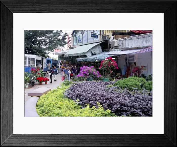 Framed Print : Flower market, Mong Kok, Kowloon, Hong Kong, China, Asia Framed Print : Flower market, Mong Kok, Kowloon, Hong Kong, China, Asia