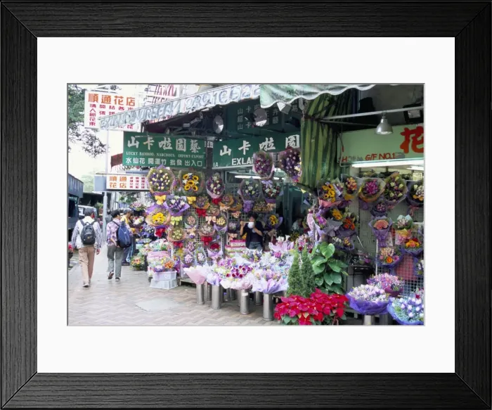 Framed Print : Flower market, Mong Kok, Kowloon, Hong Kong, China, Asia Framed Print : Flower market, Mong Kok, Kowloon, Hong Kong, China, Asia