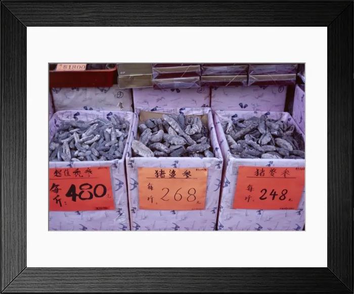 Framed Print : Dried seafood shop, Des Voeux Road West, Hong Kong Island, Hong Kong, China, Asia Framed Print : Dried seafood shop, Des Voeux Road West, Hong Kong Island, Hong Kong, China, Asia
