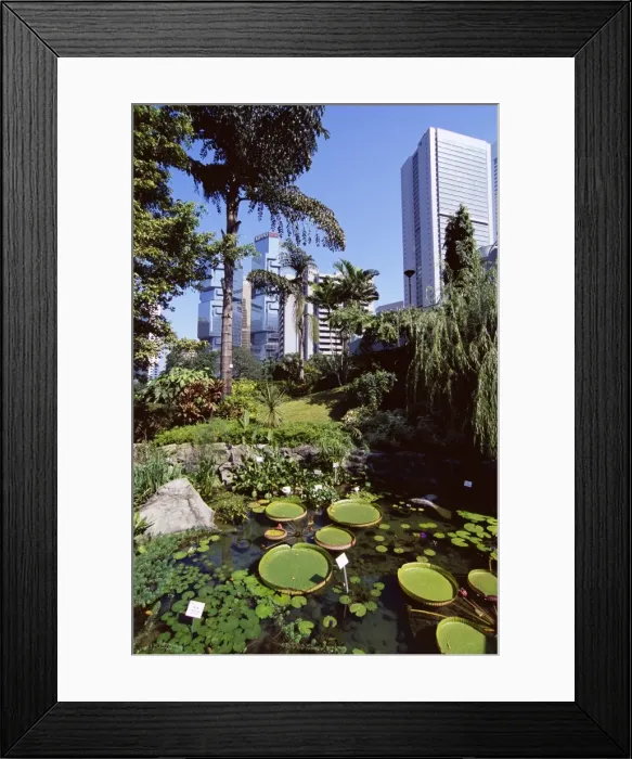 Framed Print : Hong Kong Park, Central, Hong Kong Island, Hong Kong, China, Asia Framed Print : Hong Kong Park, Central, Hong Kong Island, Hong Kong, China, Asia