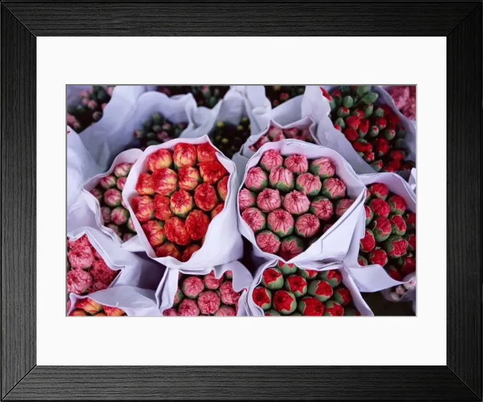 Framed Print : Carnations, flower market, Mong Kok, Kowloon, Hong Kong, China, Asia Framed Print : Carnations, flower market, Mong Kok, Kowloon, Hong Kong, China, Asia