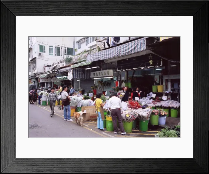 Framed Print : Flower market, Mong Kok, Kowloon, Hong Kong, China, Asia