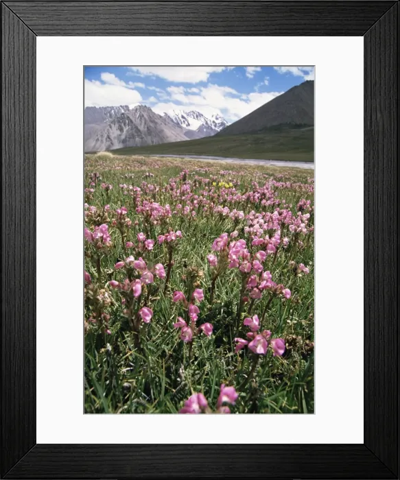 Framed Print : At the border to China, Karakoam Highway, Pamir, Pakistan, Asia Framed Print : At the border to China, Karakoam Highway, Pamir, Pakistan, Asia