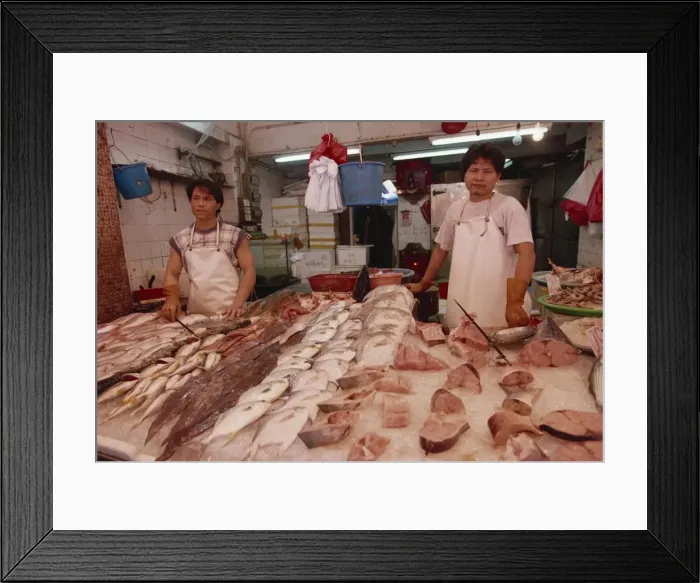 Framed Print : Portrait of two fishmongers at a stall with local fish for sale in a market in Hong Kong Framed Print : Portrait of two fishmongers at a stall with local fish for sale in a market in Hong Kong