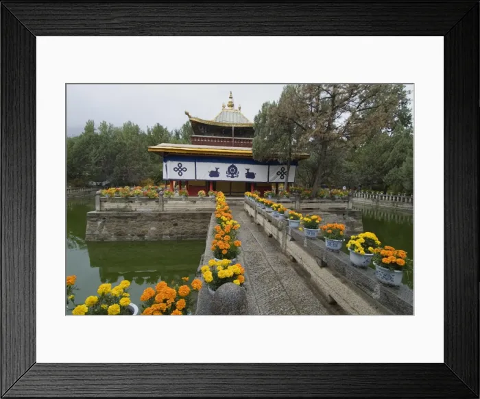 Framed Print : Dalai Lamas former summer palace, Lhasa, Tibet, China, Asia Framed Print : Dalai Lamas former summer palace, Lhasa, Tibet, China, Asia