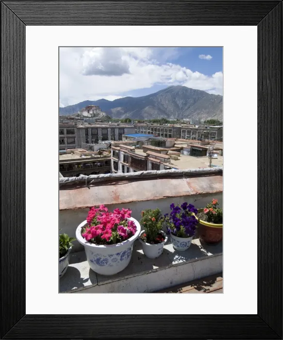 Framed Print : View over Lhasa looking towards Potala Palace, Lhasa, Tibet, China, Asia Framed Print : View over Lhasa looking towards Potala Palace, Lhasa, Tibet, China, Asia