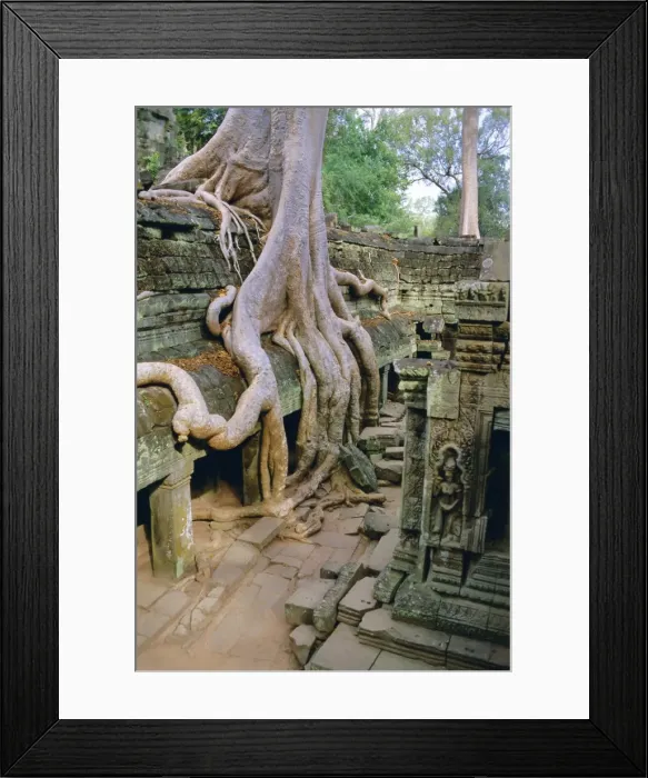 Framed Print : Ta Prohm, Angkor, Cambodia Framed Print : Ta Prohm, Angkor, Cambodia