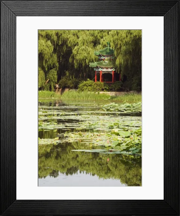 Framed Print : A pavilion among lily pads on a lake at Yuanmingyuan (Old Summer Palace) Framed Print : A pavilion among lily pads on a lake at Yuanmingyuan (Old Summer Palace)