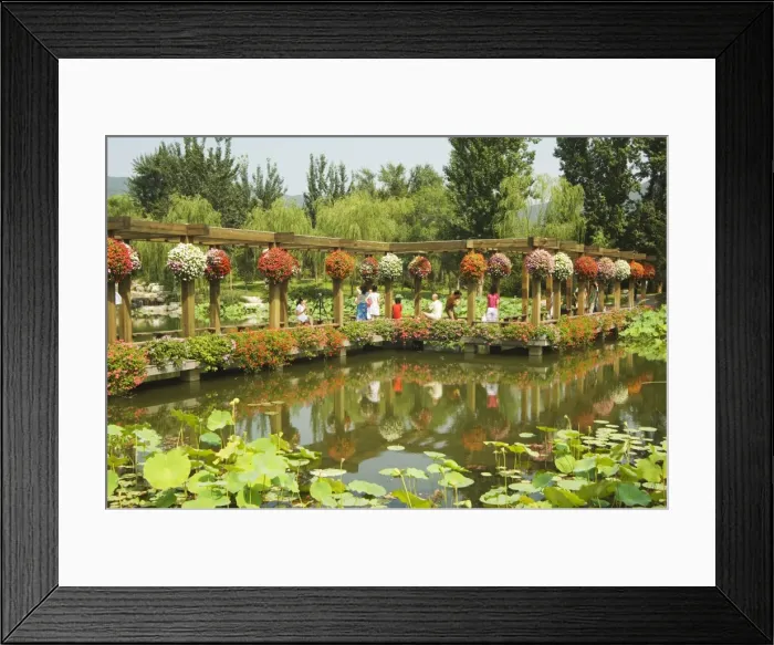 Framed Print : Beijing Botanical Gardens, Beijing, China, Asia Framed Print : Beijing Botanical Gardens, Beijing, China, Asia