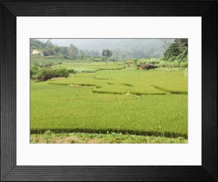 Framed Print : Rice terraces in Shuimann, Wuzhishan district, Hainan Province, China, Asia Framed Print : Rice terraces in Shuimann, Wuzhishan district, Hainan Province, China, Asia