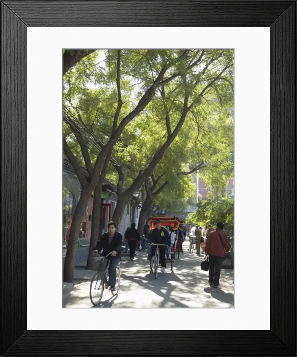Framed Print : A tree lined avenue in a local neighbourhood, Hutong area of Beijing, China, Asia Framed Print : A tree lined avenue in a local neighbourhood, Hutong area of Beijing, China, Asia