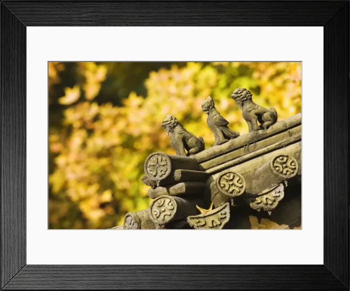 Framed Print : Autumn colours and ornamental Chinese style decorative figures on a pavilion in Ritan Park Framed Print : Autumn colours and ornamental Chinese style decorative figures on a pavilion in Ritan Park