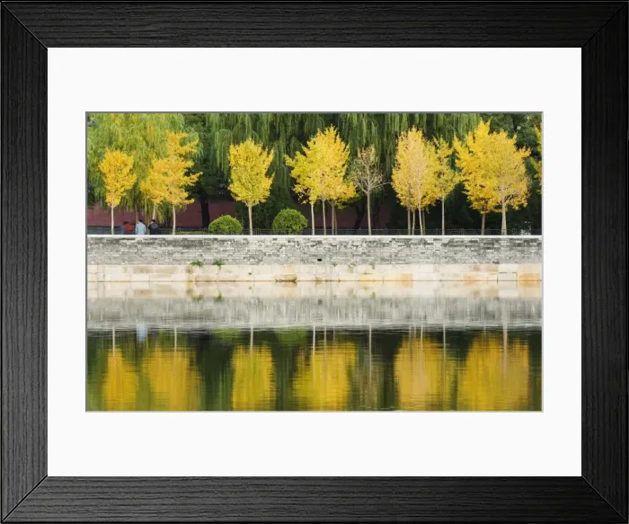 Framed Print : Autumn colours reflected in the moat of the Forbidden City Palace Museum Framed Print : Autumn colours reflected in the moat of the Forbidden City Palace Museum