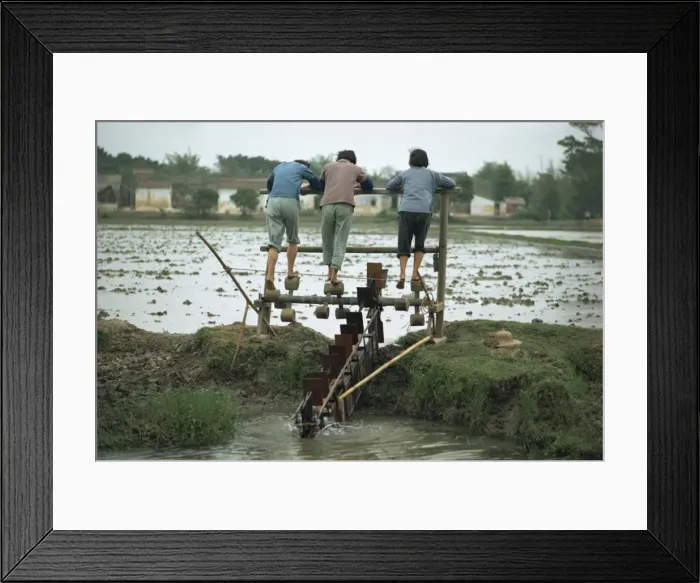 Framed Print : Three women working irrigation mill, near Canton, China, Asia Framed Print : Three women working irrigation mill, near Canton, China, Asia