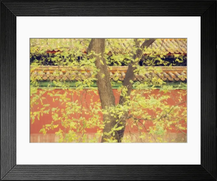 Framed Print : Tree and historic building, Yiheyuan (Summer Palace), Beijing, China, Asia Framed Print : Tree and historic building, Yiheyuan (Summer Palace), Beijing, China, Asia