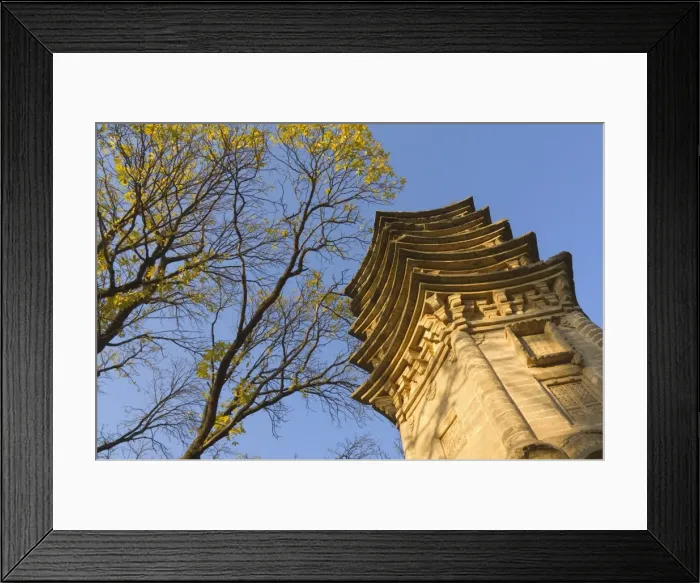 Framed Print : Tree and pagoda, Tanzhe Temple, Beijing, China, Asia Framed Print : Tree and pagoda, Tanzhe Temple, Beijing, China, Asia