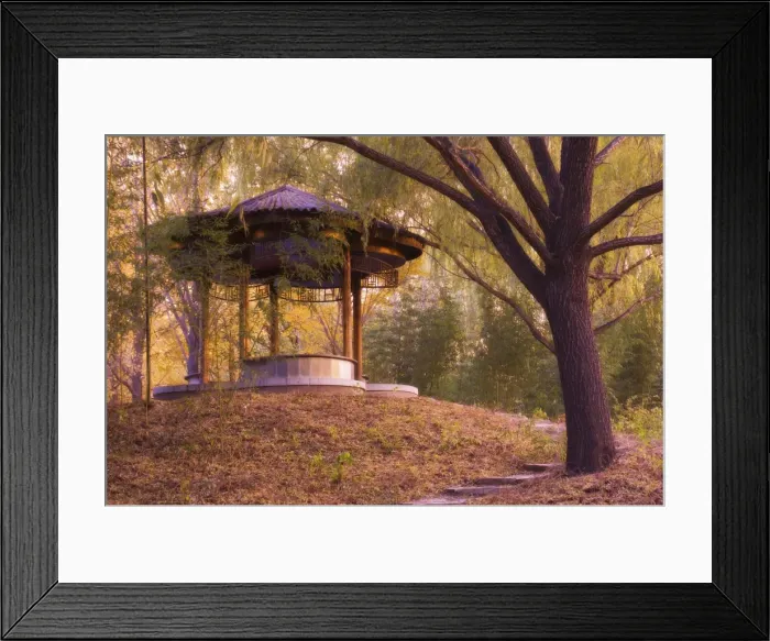 Framed Print : Forest Pavilion, Purple Bamboo Park, Beijing, China, Asia Framed Print : Forest Pavilion, Purple Bamboo Park, Beijing, China, Asia