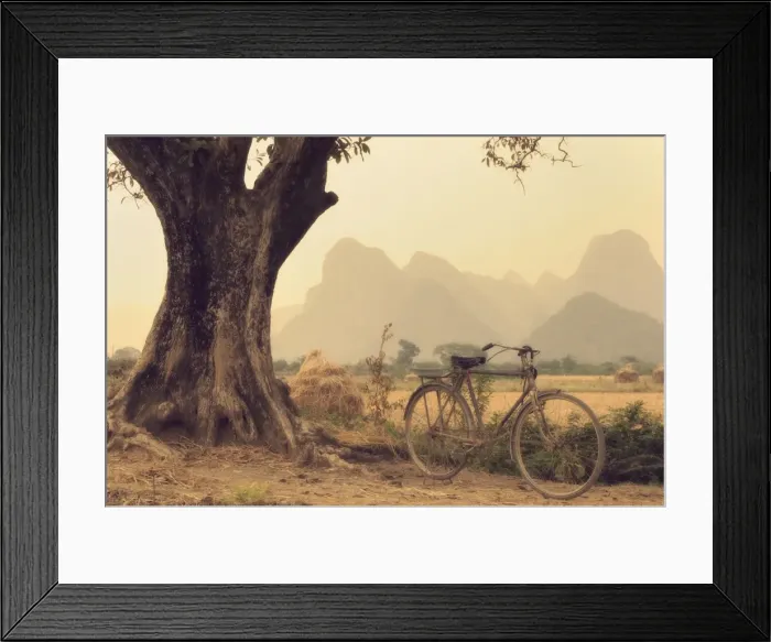 Framed Print : Bicycle, tree and mountains, Yulong River valley, Yangshuo, Guangxi Province, China, Asia Framed Print : Bicycle, tree and mountains, Yulong River valley, Yangshuo, Guangxi Province, China, Asia