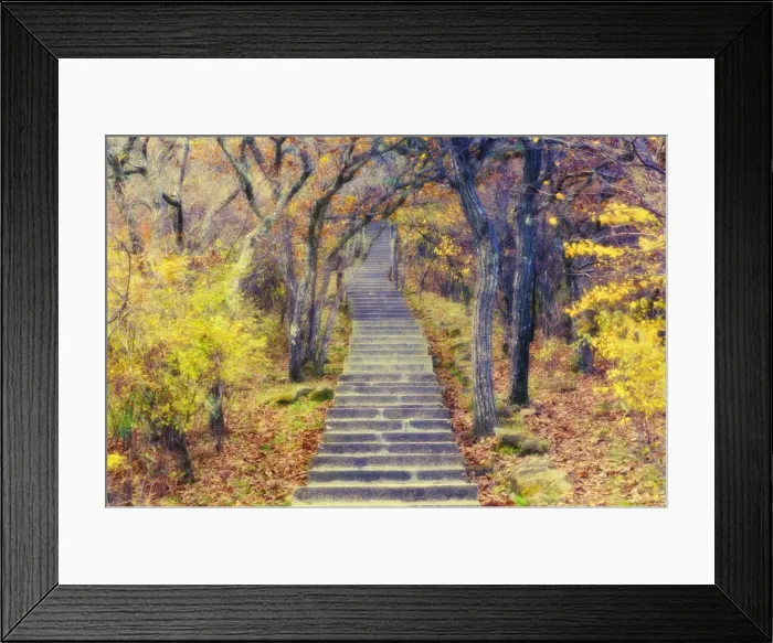 Framed Print : Footpath through mountain forest, Huang Shan (Yellow Mountain), UNESCO World Heritage Site Framed Print : Footpath through mountain forest, Huang Shan (Yellow Mountain), UNESCO World Heritage Site