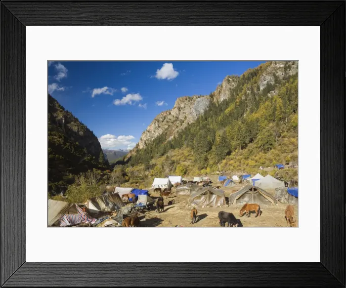 Framed Print : Tent camp, Yading Nature Reserve, Sichuan Province, China, Asia Framed Print : Tent camp, Yading Nature Reserve, Sichuan Province, China, Asia