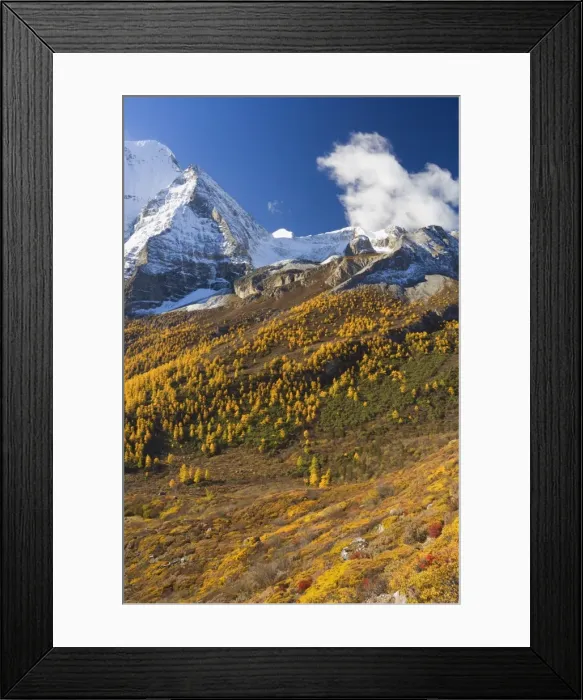 Framed Print : Xiannairi mountain, Yading Nature Reserve, Sichuan Province, China, Asia Framed Print : Xiannairi mountain, Yading Nature Reserve, Sichuan Province, China, Asia