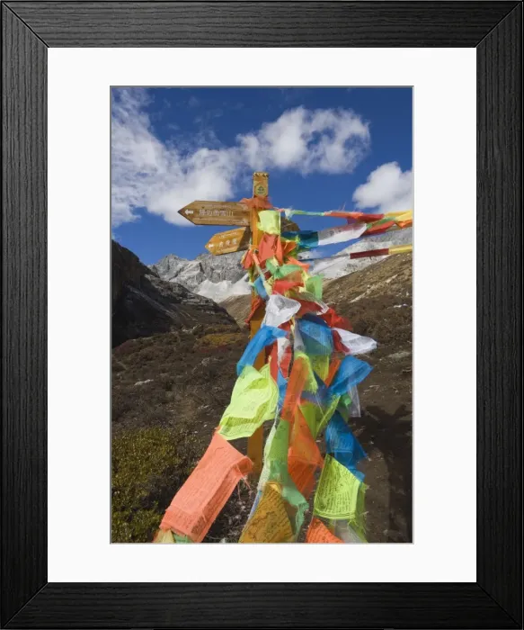 Framed Print : Prayer flags, Yading Nature Reserve, Sichuan Province, China, Asia Framed Print : Prayer flags, Yading Nature Reserve, Sichuan Province, China, Asia