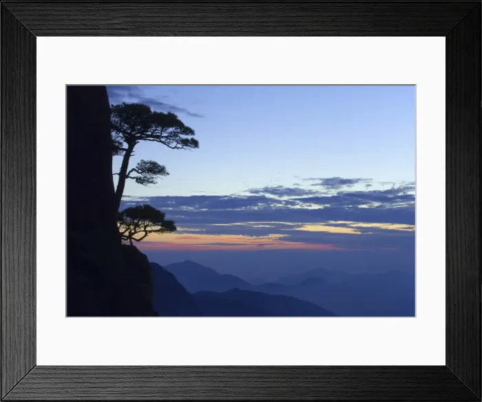 Framed Print : Silhouette of pine tree, White Cloud scenic area, Huang Shan (Mount Huangshan) Framed Print : Silhouette of pine tree, White Cloud scenic area, Huang Shan (Mount Huangshan)