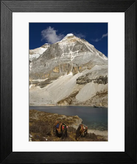 Framed Print : Dauzhengcuo Lake (5 color lake) and Xiannairi mountain, Yading Nature Reserve Framed Print : Dauzhengcuo Lake (5 color lake) and Xiannairi mountain, Yading Nature Reserve