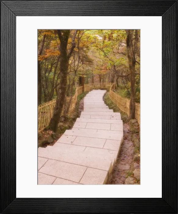 Framed Print : Footpath, Mount Huangshan (Yellow Mountain), UNESCO World Heritage Site Framed Print : Footpath, Mount Huangshan (Yellow Mountain), UNESCO World Heritage Site