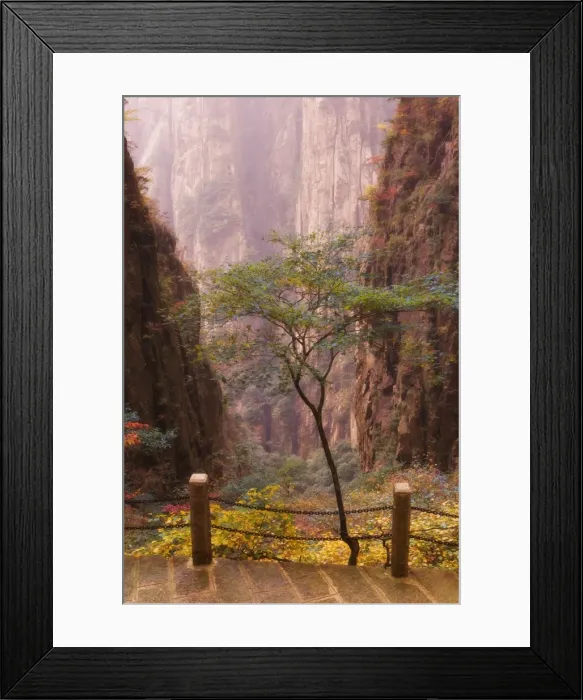Framed Print : Autumn colors, Xihai (West Sea) Valley, Mount Huangshan (Yellow Mountain) Framed Print : Autumn colors, Xihai (West Sea) Valley, Mount Huangshan (Yellow Mountain)