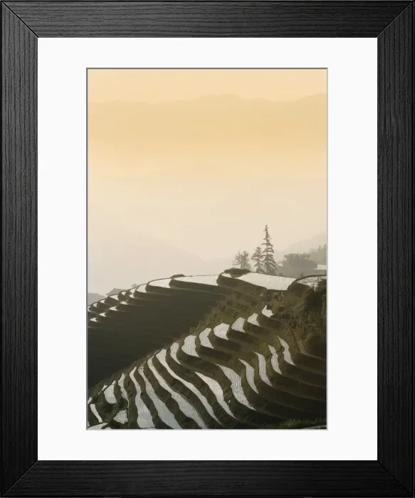 Framed Print : Longsheng terraced ricefields, Guangxi Province, China, Asia Framed Print : Longsheng terraced ricefields, Guangxi Province, China, Asia