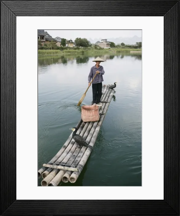 Framed Print : Fisherman with cormorants, Li River, Yangshuo, Guangxi Province, China, Asia Framed Print : Fisherman with cormorants, Li River, Yangshuo, Guangxi Province, China, Asia