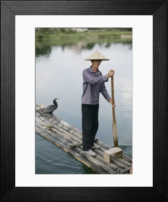 Framed Print : Fisherman with cormorant, Li River, Yangshuo, Guangxi Province, China, Asia Framed Print : Fisherman with cormorant, Li River, Yangshuo, Guangxi Province, China, Asia