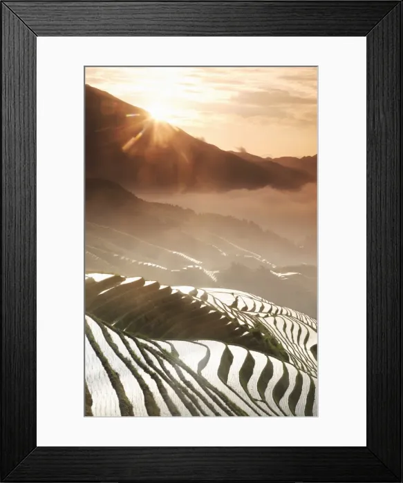 Framed Print : June sunrise, Longsheng terraced ricefields, Guangxi Province, China, Asia Framed Print : June sunrise, Longsheng terraced ricefields, Guangxi Province, China, Asia