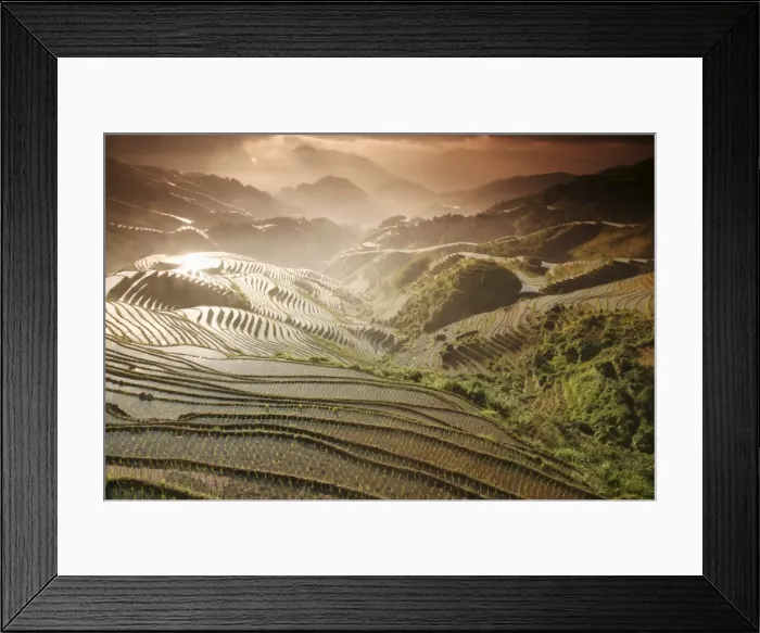 Framed Print : June sunrise, Longsheng terraced ricefields, Guangxi Province, China, Asia Framed Print : June sunrise, Longsheng terraced ricefields, Guangxi Province, China, Asia