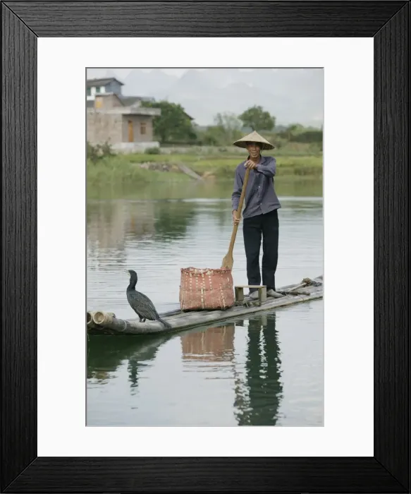 Framed Print : Fisherman with cormorant, Yangshuo, Li River, Guangxi Province, China, Asia Framed Print : Fisherman with cormorant, Yangshuo, Li River, Guangxi Province, China, Asia