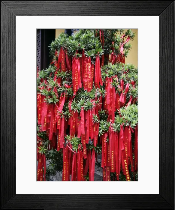 Framed Print : Jade Buddha Temple, Shanghai, China, Asia