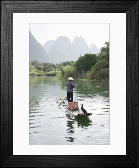 Framed Print : Fisherman with cormorants, Yangshuo, Li River, Guangxi Province, China, Asia Framed Print : Fisherman with cormorants, Yangshuo, Li River, Guangxi Province, China, Asia
