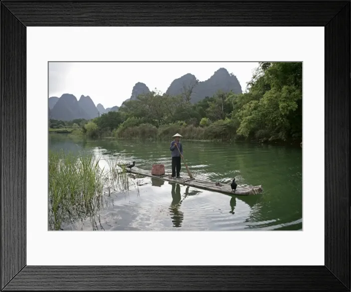 Framed Print : Fisherman with cormorants, Yangshuo, Li River, Guangxi Province, China, Asia Framed Print : Fisherman with cormorants, Yangshuo, Li River, Guangxi Province, China, Asia