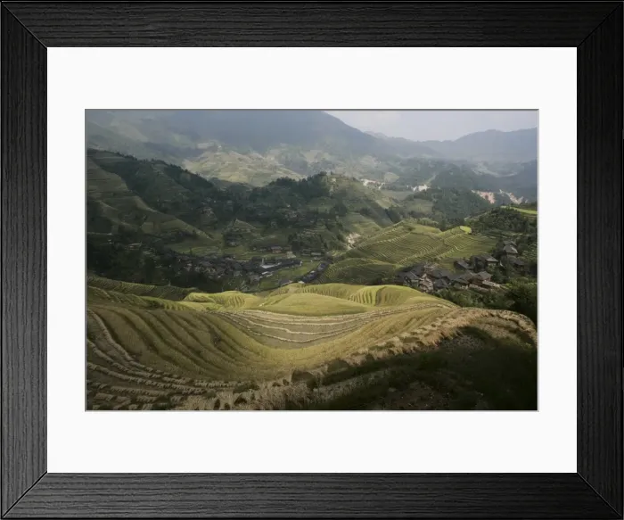 Framed Print : Longsheng terraced ricefields, Guilin, Guangxi Province, China, Asia Framed Print : Longsheng terraced ricefields, Guilin, Guangxi Province, China, Asia