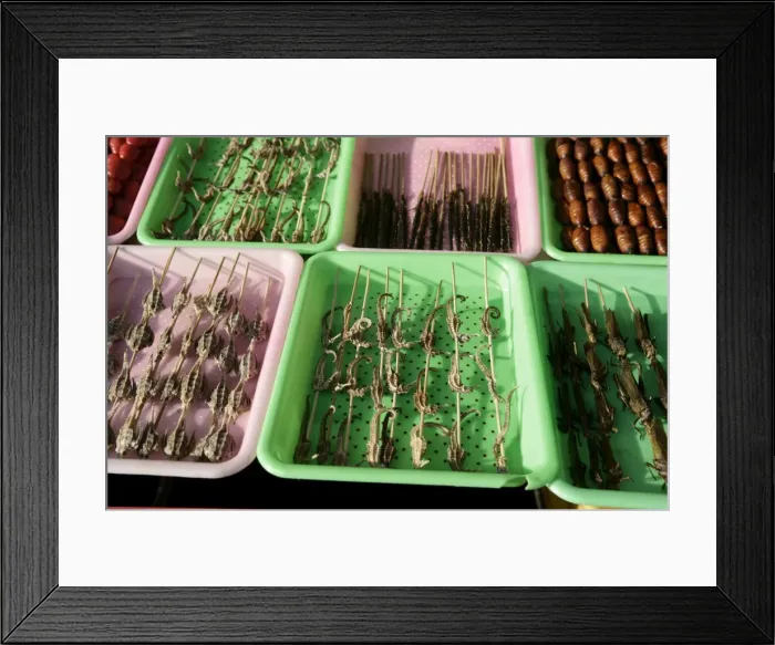 Framed Print : Strange food for sale in Wangfujing Snak Road, Wangfujing Dajie shopping district Framed Print : Strange food for sale in Wangfujing Snak Road, Wangfujing Dajie shopping district