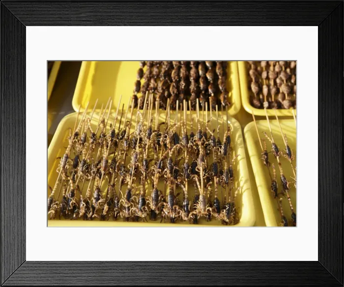 Framed Print : Strange food for sale in Wangfujing Snak Road, Wangfujing Dajie shopping district Framed Print : Strange food for sale in Wangfujing Snak Road, Wangfujing Dajie shopping district